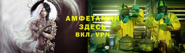прущие грибы Верхний Тагил