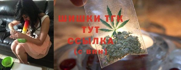 прущие грибы Верхний Тагил