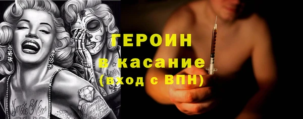 прущие грибы Верхний Тагил