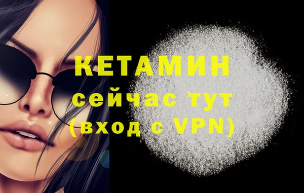 прущие грибы Верхний Тагил