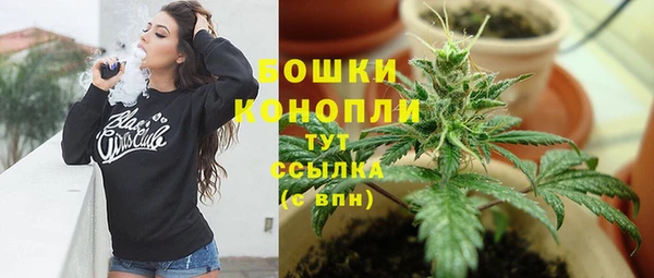 дмт Горнозаводск