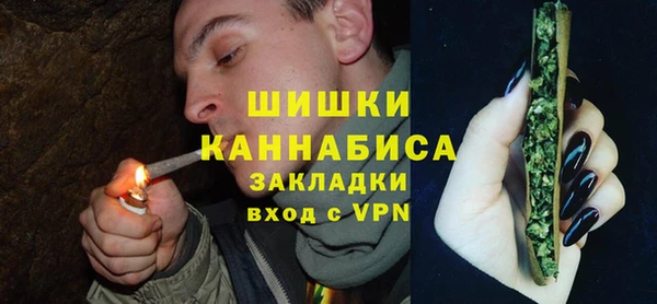 прущие грибы Верхний Тагил