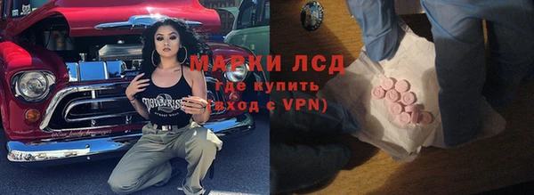 прущие грибы Верхний Тагил